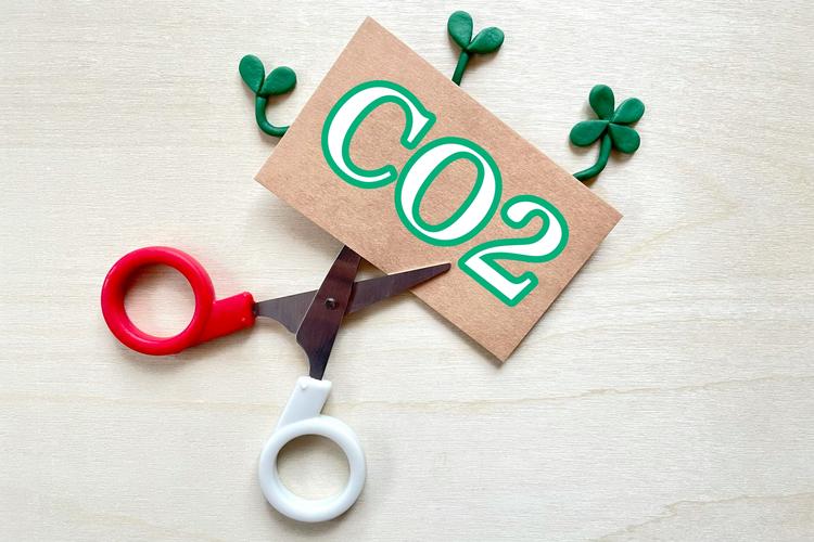 脱炭素経営とは?企業が取り組むメリットを解説!